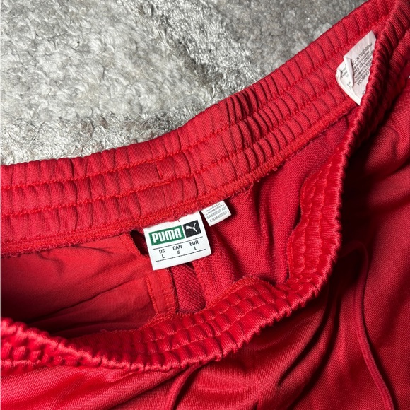 Men’s puma shorts size large - Picture 4 of 4